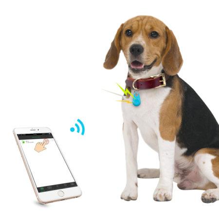 Полезные гаджеты для вашей собаки на Aliexpress: GPS-трекеры на любой кошелек