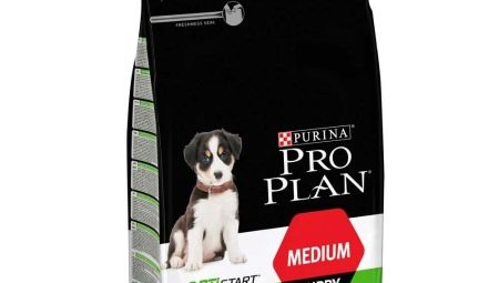 ВСЕ О ПОРОДЕ СОБАКИ PURINA PRO PLAN