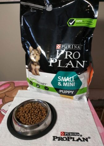 ВСЕ О ПОРОДЕ СОБАКИ PURINA PRO PLAN
