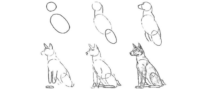 Как нарисовать собаку для детей