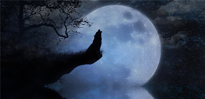 Hundeheulen <span>, um Erfolg zu haben, hilft Ihnen bei den folgenden Punkten.»/></p><p>Собаки являются дальними родственниками волков. Сходство этих животных заметно как по внешнему виду, так и по повадкам. Мы, люди, часто забываем об этом, пока наши четвероногие друзья не напомнят нам о своей «родословной», сопровождаемой пронзительным и назойливым писком по соседству. Вряд ли вы найдете на земле хотя бы одну собаку, которая никогда не выла, и такое безличное сходство домашних животных с дикими волками всегда вызывало много вопросов. Не найдя на них ответа, люди боялись этого явления и приписывали ему мистические свойства. Наиболее угрожающие признаки и предсказания были связаны с воем собаки. Например, если собака плачет, значит, в доме точно есть покойник. Давайте попробуем разобраться во всем этом объективно и беспристрастно. Почему собака кричит?</p><h2>Основные причины</h2><p>Если ваш питомец вдруг завыл без причины, не стоит ждать неизбежного горя и бросаться в интернет на компьютер, чтобы узнать, какая беда должна случиться. Даже в самом устрашающем вое собаки не стоит искать смысл «иных миров». В большинстве случаев «пение» вашего питомца происходит по вполне понятным причинам, не имеющим ничего общего с мистикой. Но что это за причины? Вот краткий перечень наиболее важных из них.</p><ul><li>Собака начинает плакать, когда страдает от естественных потребностей. Например, хозяин надолго оставил ее одну, а она хочет есть или сходить в туалет. Или собака шепчет и визжит, обнюхивает стаю и обнаруживает, что хочет сблизиться со своими сородичами. Движимая любовным инстинктом, она реагирует, как сука во время течки.</li><li>Животное сильно привязано к хозяину, скучает по нему в его отсутствие, что вызывает нежелательное поведение. В таких случаях некоторые собаки начинают царапать дверь или грызть мебель. Есть те, кто выражает тоску долгим, печальным плачем.</li><li>Многие собаки выть начинают даже тогда, когда хозяева находятся дома, но они не уделяют своим питомцам достаточно внимания. Это справедливо, например, для общительных животных.</li><li>Собака — не человек, и если ей плохо, она не может об этом рассказать. Кроме того, даже самый любящий хозяин не всегда видит и сразу замечает, что его питомец болен. У четвероногого друга нет другого выбора, кроме как привлечь к себе внимание воем.</li><li>Дворовые собаки часто сидят на цепи, но они также хотят резвиться и играть. Вой — это способ сказать медлительному хозяину, чего вы хотите.</li><li>Вой часто становится способом общения. Общайтесь через своих собак с другими собаками на своей или соседних усадьбах.</li><li>Иногда «инстинкт пения» пробуждается в братьях наших меньших как проявление радости. При встрече с хозяином собака приветствует его воем и некоторыми другими звуками</li><li>Источником «вдохновения» часто является полная луна, ведь наш спутник влияет не только на людей, но и на домашних животных. Собака кричит на него и реагирует бессонницей, вызванной ярким небесным телом. Недостаток отдыха также может привести к агрессии.</li><li>Воющая собака может выражать недовольство определенной ситуацией. Предположим, ему не нравится, когда его моют, стригут, расчесывают или перевязывают. Неприятие этих процедур часто провоцирует такое «пение», что владельцу или ветеринару проще отложить его, чем слушать и терпеть.</li><li>Многие собаки кричат в такт музыке. У них от природы чувствительный слух с диапазоном, близким к человеческому. Они также могут различать тона (разница может составлять 1/8 тона). Считается, что кора головного мозга собаки имеет такой же центр музыкального восприятия, как и у человека, а это значит, что она не только слушает, но и оценивает музыку в соответствии со своим «вкусом». Чаще всего собаки выбирают классику, но если вы не любите музыку, четвероногий меломан отойдет от источника звука.</li></ul><p>Тем не менее, следует отметить, что собаки могут быть возбуждены и ожидать неприятностей. Вот здесь нет никакой мистики. Наши меньшие собратья от природы обладают обостренным восприятием и интуицией (тем же обонянием, например), что позволяет владельцам заметить опасность раньше, чем ее заметят хозяева. Своим воем собака хочет предупредить своих близких, для нее это своего рода сигнал SOS.</p><p>Предостережение: Если у вашего питомца спокойный характер и крепкая нервная система, он крайне редко будет кричать.</p><h2>Приметы, связанные с воем собаки</h2><p>С жестами собак связано множество суеверий, в истинность которых верят даже люди, далекие от мистики. Все они, как правило, имеют негативный оттенок. Культивируемые веками, они действуют на бессознательном уровне, заглушая голос разума. Как же народная молва объясняет причины печального воя собаки?</p><p>Если ваш питомец сидит неподвижно и откидывает голову назад, это считается предвестником пожара. Бывает, что собака исполняет свою «серенаду», опустив голову к земле: В этом случае вас ожидают фатальные несчастья. Люди особенно волнуются, когда он также роет землю: это означает, что смерть человека очень близка. r</p><p>Они часто замечают, в какую сторону, влево или вправо, поворачивается голова собаки, когда она воет. Это служит сигналом, что с этого направления следует ожидать проблем. Суеверные люди начинают беспокоиться, если собака дергает головой одновременно с пением. Это, по их мнению, указывает на то, что беда не придет одна, что владельца или его семью ожидает цепь трагических событий.</p><p>Как ни странно, многие из упомянутых суеверий имеют вполне логичные объяснения. Поскольку у собак очень тонкое обоняние, не сравнимое с человеческим, они могут почувствовать дым от пожара за десять километров от места происшествия. Почуяв запах, животное поднимает морду выше, а поскольку огонь воспринимается на инстинктивном уровне как признак опасности для животных (хоть диких, хоть домашних), собака начинает выть.</p><p>Несостоятельной является и вера в то, что собака может пережить смерть одного из домочадцев, но только если она умрет естественной смертью, без насилия. Опять же, здесь нет никакой мистики, а объяснение кроется в том же развитом природном обонянии. Обычно незадолго до смерти у человека замедляется обмен веществ и изменяется запах тела. Такие изменения пугают четырехлетнего друга, и он поворачивается лицом вниз, чтобы запах земли мешал умирающему. В это же время собака начинает тихо и жалобно выть, переходит на скиллинг и трясет головой. Часто собака также избегает больного и увядающего хозяина, старается поджать хвост и прячется от него в аду.</p><h2>Можно ли отучить собаку выть и как это сделать?</h2><p>Даже если ваш питомец начинает выть, такие «увлечения» никому не приносят радости, поэтому желание прекратить грустные «заклинания» вполне понятно. Но как это сделать? Именно здесь многие владельцы оказываются в тупике, разводя руками и не зная, что делать. Главное — не кричать на собаку, не угрожать ей и тем более не применять физические наказания. Проблема, будучи решенной, длится лишь очень короткое время, а затем возвращается. Наиболее эффективным способом борьбы с этим явлением может быть только устранение причин, его вызвавших — другого просто не существует.</p><p>Собаки часто воют на определенные звуки, например, на звуки музыки из колонок, сирены сигнализации или вой других собак. В таких случаях вам не нужно особенно беспокоиться. Как только внешний источник, вызвавший вой, выключает свой звук, собака тоже успокаивается.</p><p>Совсем другое дело, когда собака начинает выть в отсутствие хозяев. Когда хозяева дома заняты, работают с утра до ночи, полезно подумать о развлечениях для своих питомцев. Например, можно выключить радио, чтобы собака думала, что она не одна дома. Или предложите ему какую-нибудь пищащую, резиновую игрушку. После возвращения с работы обязательно аккуратно окружите своего питомца, погладьте его и поиграйте с ним.</p><p>Если собака воет, вы можете придумать наказание в стиле дрессировки. Вам нужно, чтобы собака поняла, что если вы будете продолжать выть, вы уйдете и не появитесь надолго. Как это сделать? Очень просто. Как только собака начинает «петь», немедленно выйдите за дверь и не возвращайтесь, пока она не замолчит. Поэтому необходимо продолжать, пока он не установит в своем сознании связь между своим воем и вашим отсутствием. Чтобы вы больше не оставляли его, собака перестает выть.</p><p>Иногда вой становится способом привлечь внимание. Если для этого нет веских причин, постарайтесь игнорировать такое поведение собаки. Его не следует обучать получать то, что ему нужно, такими методами. В таких случаях может помочь тот же тренинг. Собаке, которая начала выть, следует четко скомандовать: «Говори!», Выполняя команду с восхищением. Затем должна прозвучать команда: «тихо!»- Она подается аналогичным тоном. Поначалу не ожидайте абсолютного послушания, но как только вы добьетесь послушания, скажите собаке: «Хорошо!», Подкрепите успех любимым лакомством. Во время тренировки старайтесь продлить время, произнося последнее предложение все позже и позже.</p><p>У некоторых владельцев собак нет ни времени, ни желания лично отучать своего питомца от привычки выть. Для решения проблемы они используют специальный ошейник, который реагирует на вой или лай электрическим током. Выделения слабые, но заметные. Производятся и другие ошейники: дистанционно, с первых звуков «арии» собаки они брызгают на морду струей воды. Удары электрическим током и вода обескураживают его, и на некоторое время он забывает о своих намерениях. После перерыва он снова затягивает «старую песню» и получает еще один удар током или охлаждается водой. Эти методы суровы, но эффективны. Единственный их недостаток — психоэмоциональное состояние вашего питомца.</p><p>Процесс перевоспитания животного должен контролироваться владельцем. Последний должен находиться рядом, и если собака перестанет плакать более чем на полчаса, он должен подойти к ней, похвалить, дать новую игрушку и уйти. Эта техника продолжается до достижения стабильного результата, что иногда занимает более суток.</p><p>Важно: Если причиной плача собаки является заболевание (например, дисплазия тазобедренного сустава или опухоль), не тратьте время на перевоспитание, в котором в данном случае нет необходимости, а посетите с четвероногим другом ветеринарную клинику. Как только проблема со здоровьем будет решена, собака перестанет плакать.</p><p>Особенно неприятно, когда собака начинает кричать по ночам и нарушает сон не только домочадцев, но и соседей дома или на улице. Методами перевоспитания можно отучить собаку от ночных «концертов», но, как показывает практика, если собака воет после захода солнца, то, следовательно, вам лишь отчасти нужно обратиться к профессиональному гинекологу. Этот специалист хорошо знаком с психологией собаки, и с помощью специальных методик ему не составит труда выявить и устранить причину воя. Но практически нет мер по борьбе с бродячими собаками, воющими во дворах жилых домов. Более того, и собаки, и незнакомые люди, живущие в этом дворе, могут голосовать и пытаться угадать «кто есть кто».</p><p>Среди владельцев собак есть люди, которые не видят для себя особой проблемы в том, что питомец вдруг заинтересовался «пением», особенно в темноте. Однако такая ситуация может привести к неудобствам для соседей. Если нерадивый владелец не отвечает на замечания и не предпринимает никаких действий в отношении своей собаки, вы можете обратиться к местному полицейскому или подать коллективную жалобу в управление недвижимостью. Согласно действующему законодательству, любой шум после 22:00 (кроме воя собаки, это может быть громкая музыка или звук дрели во время ремонтных работ) подлежит административной ответственности в виде наложения штрафов. Результатом этого шага, скорее всего, станут натянутые отношения с владельцем собаки, но что делать, если он сам не может успокоить своего питомца?</p><p>Второй способ решения проблемы — возможно, самый гуманный и выгодный для обеих сторон — звукоизоляция. Предложите соседу, в доме которого «поет» собака, очистить стены звукоизолирующим материалом. Если его дом уже отремонтирован и он не хочет ничего менять, предложите финансирование для установки звукоизоляции в вашем доме. Соответствующие владельцы собак, обычно ответственные и готовые пойти вам навстречу.</p><p>Собака не кричит без причины, и чтобы ее настроить, нужно набраться терпения и найти выход из сложившейся ситуации. Иногда достаточно просто изменить свое отношение к четвероногому другу и чаще гулять с ним, чтобы он перестал так сильно беспокоиться.</p><h2>Советы опытного кинолога: что делать, если ваша собака громко воет, когда вы уходите из дому</h2><p><img decoding=