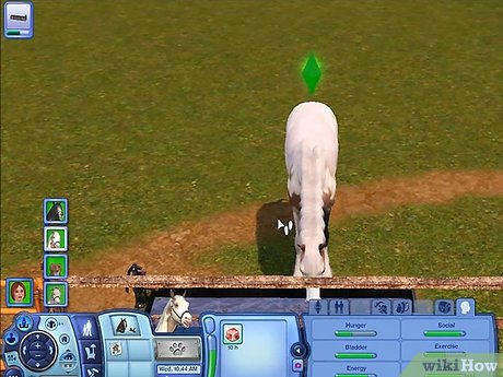 Название изображения Разведение домашних животных в The Sims 3 Питомцы (PC) Шаг 10