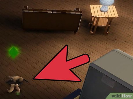 Название изображения Разведение домашних животных в The Sims 3 Питомцы (PC) Шаг 4