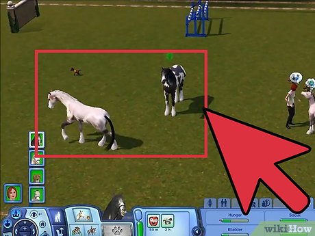 Название изображения Разведение домашних животных в The Sims 3 Питомцы (PC) Шаг 11
