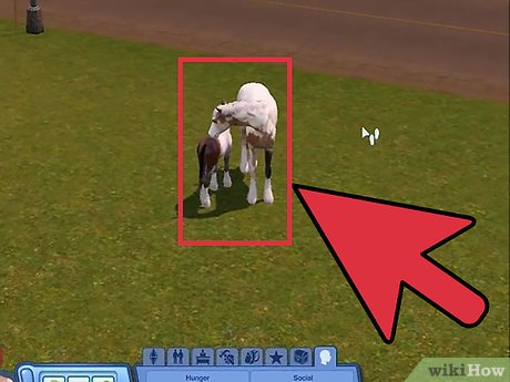 Название изображения Разведение домашних животных в The Sims 3 Питомцы (PC) Шаг 12