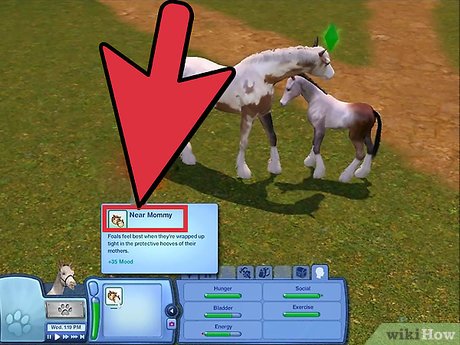 Название изображения Выращивайте своих питомцев в The Sims 3 Питомцы (PC) Шаг 15