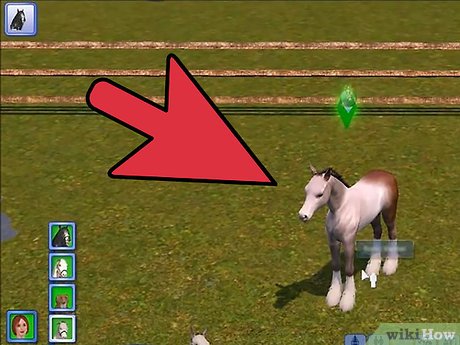 Название изображения Разведение домашних животных в The Sims 3 Питомцы (PC) Шаг 14