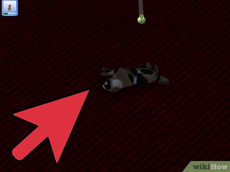 Название изображения Разведение домашних животных в The Sims 3 Питомцы (PC) Шаг 7