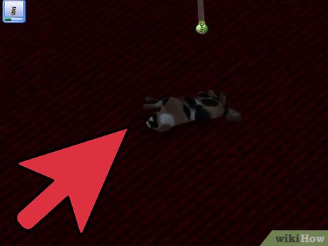 Название изображения Разведение домашних животных в The Sims 3 Питомцы (PC) Шаг 7