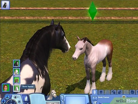 Название изображения Разведение домашних животных в The Sims 3 Питомцы (PC) Шаг 13