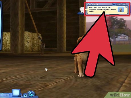 Название изображения Разведение домашних животных в The Sims 3 Питомцы (PC) Шаг 3