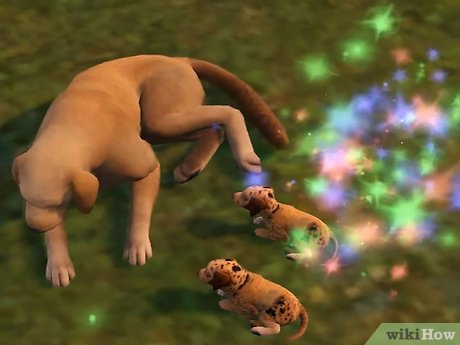 Название изображения Разведение домашних животных в The Sims 3 Питомцы (PC) Шаг 2