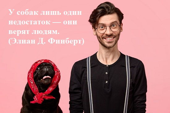 ЦИТАТЫ ПРО ОТНОШЕНИЯ ЧЕЛОВЕКА К СОБАКЕ