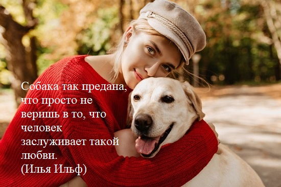 Собака-настоечки наркотик челювека
