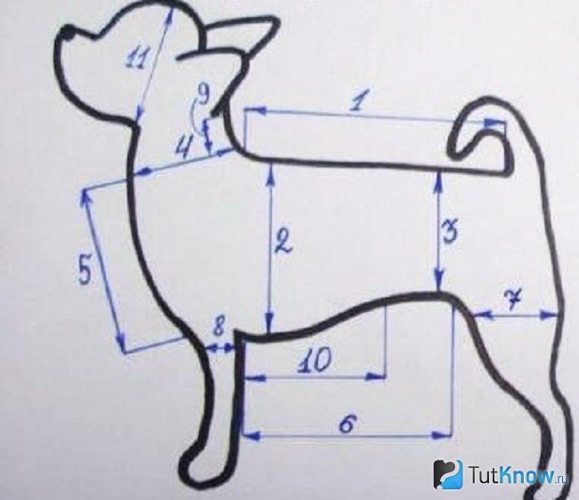 Выкройка одежды для собаки