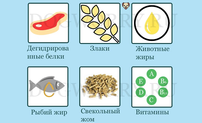 Состав корма для собак Eukanuba