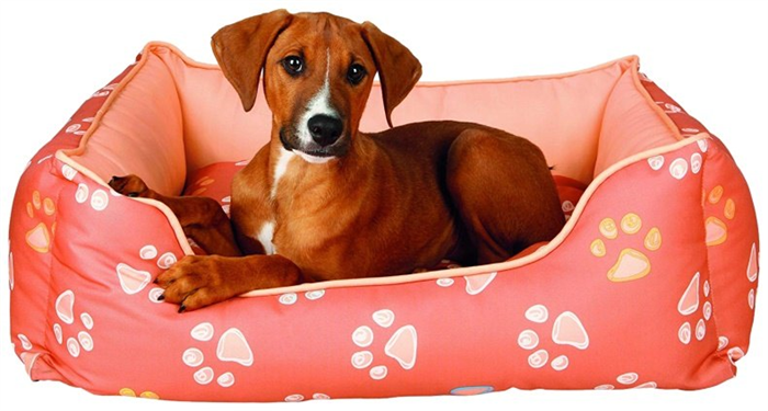 Sspodi / Seape для собак и кошек / диван для животных / лежанка для кошки / лежанка для собаки
