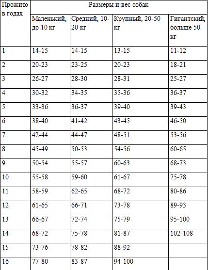Таблица возраста собаки по сравнению с человеком