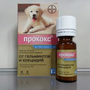 Прококс суспензия для собак