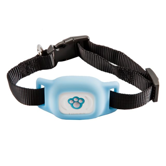 Будущий путь FP03