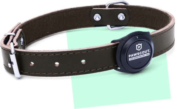 Метка для животных Pawscout smarter