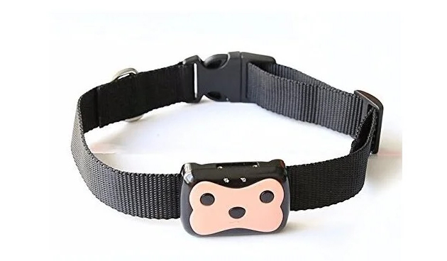 GPS-ошейники для собак и кошек