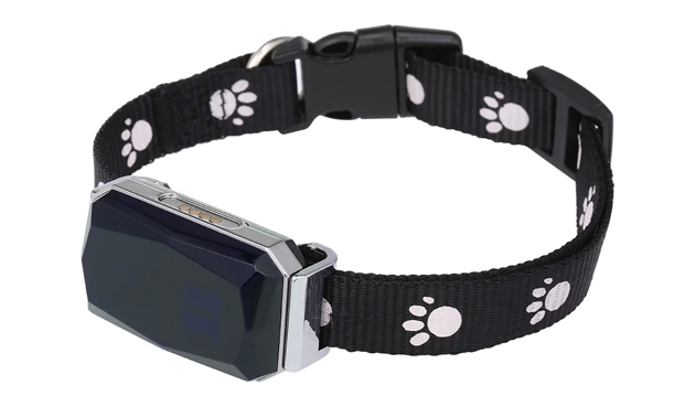 GPS-трекер с ошейником для собак и кошек