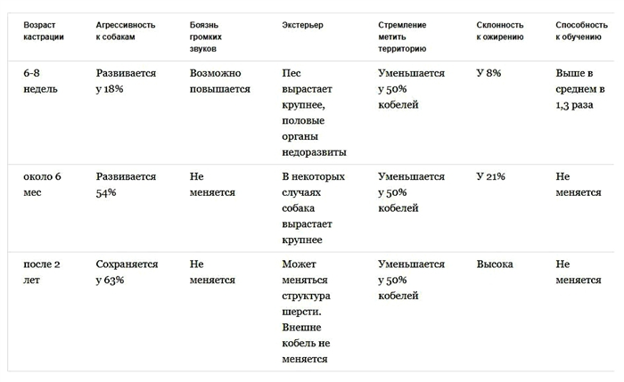 Непослушное поведение у собак