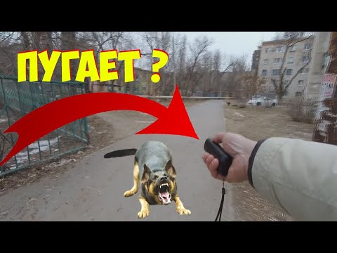 Экспеллер для собак с тестом с Алиэкспресс