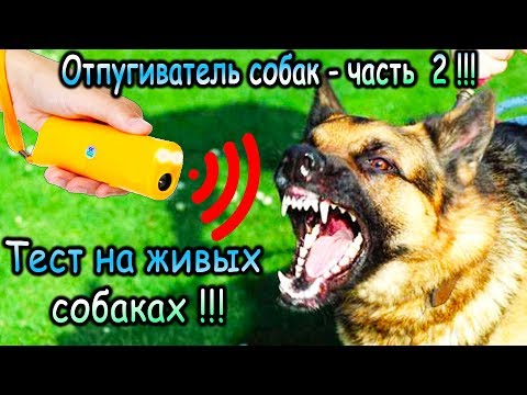 Ультразвуковой отпугиватель собак с Алиэкспресс - часть 2 реальный тест на живых собаках.