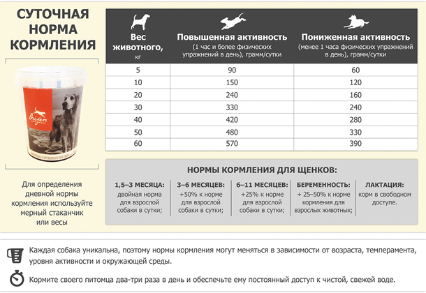 Первоначальная норма кормления собаки