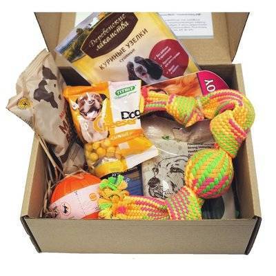 Petbox Подарочная коробка для собаки-сюрприза