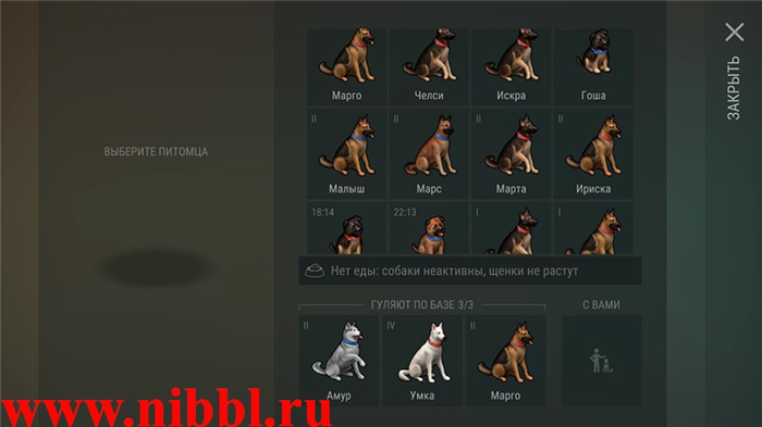 Собаки LDO в вольере