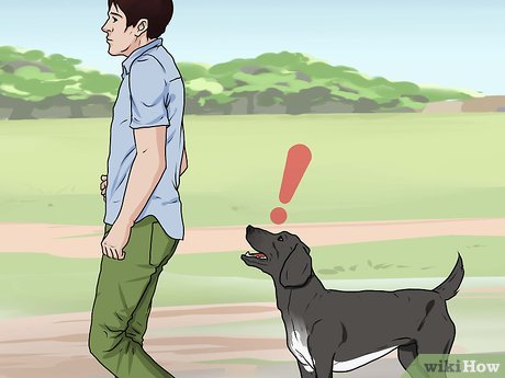 Картинка с именем угощает шаг 9 нападение собаки