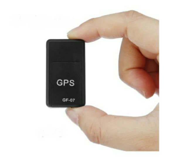 Рейтинг лучших GPS трекеров для собак