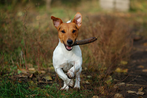 Восемнадцать