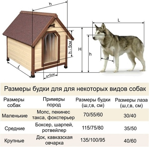 Питомник для мопса