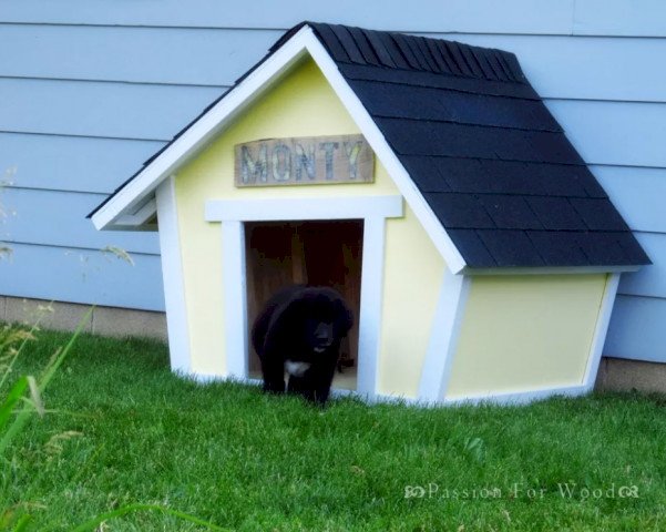 Асимметричный домик для собаки и черная собака