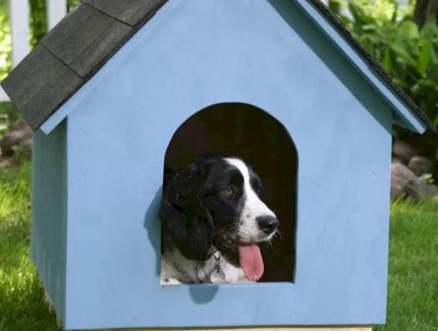 Синий домик для собаки в форме буквы собака сидит с собакой