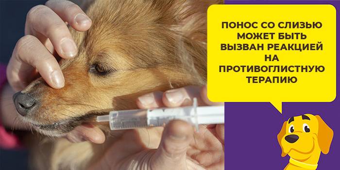 Флорентийский