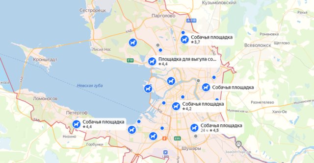 Выгул собак в 2022 году - новые законы и правила